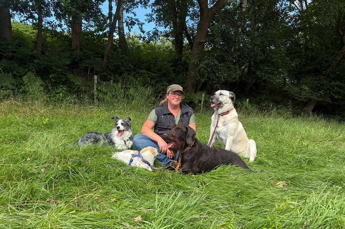 Silvia Schmalstieg Heimatrevier Oersdorf - Kangal und Drahthaar Hunde