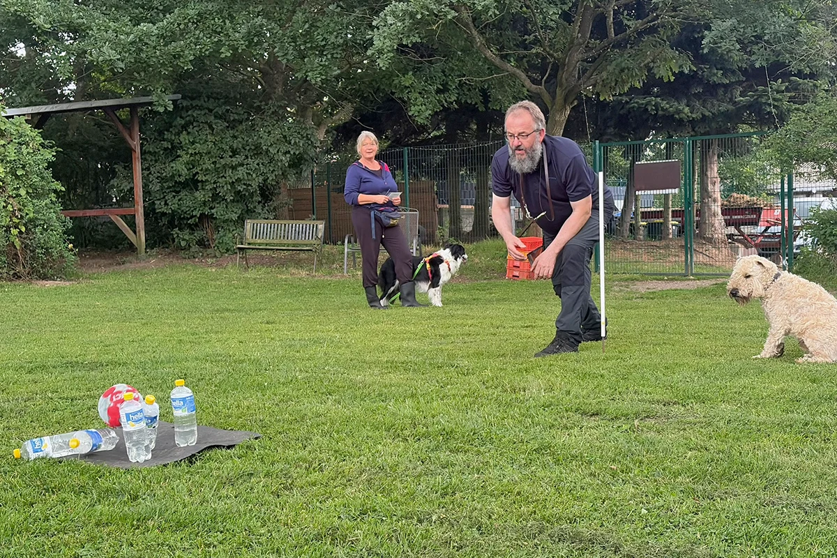 Crossdogging Oersdorf: Abwechslung für Mensch und Hund im Team
