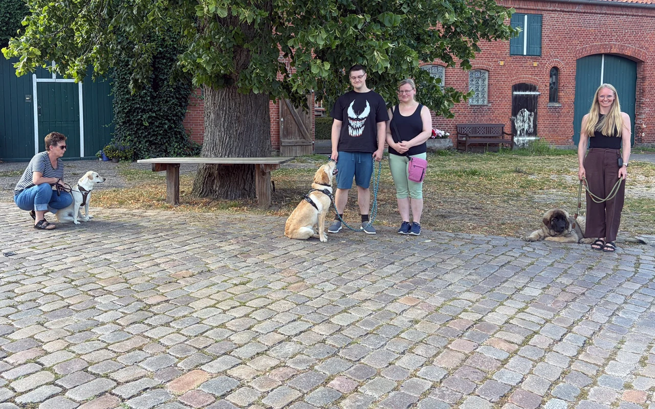 Jung & Unterwegs – Junghundetraining