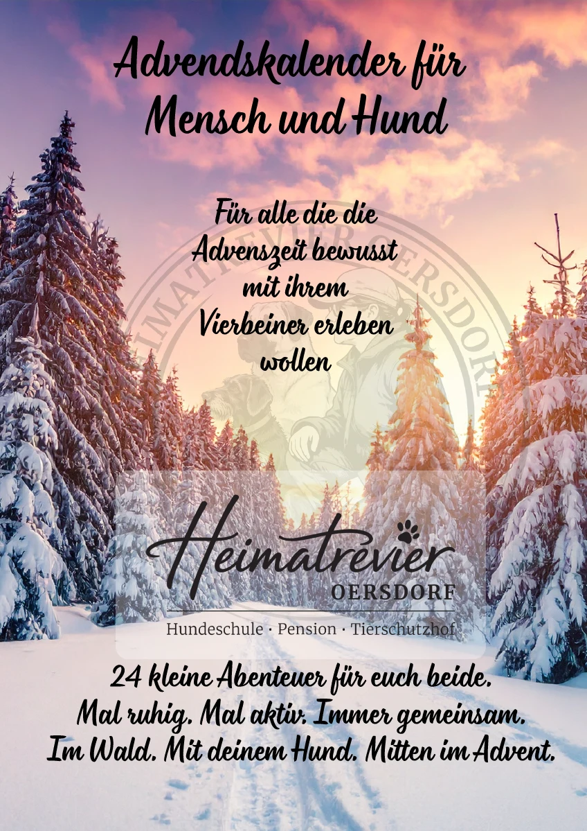 Advenskalender für Mensch und Hund 2026