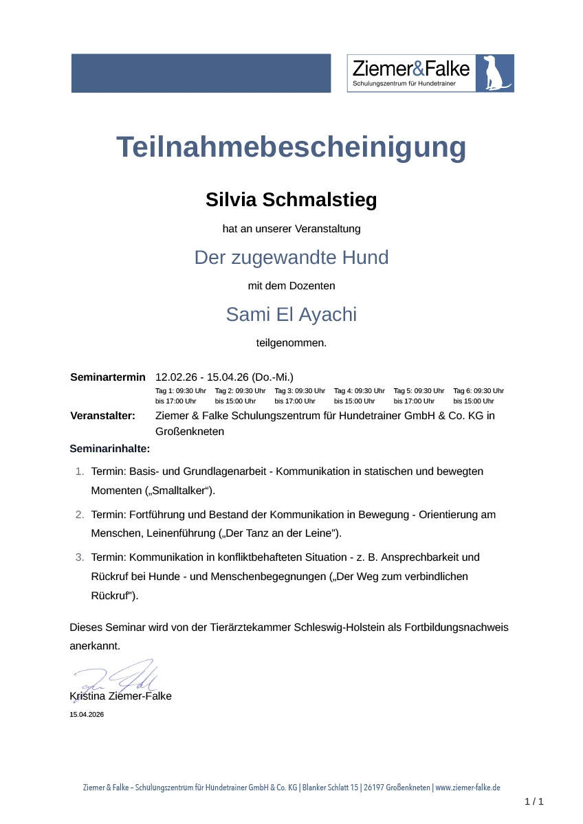 Teilnahmebescheinigung Der Z´zugewandte Hund Sami El Ayachi bei Ziemer&Falke