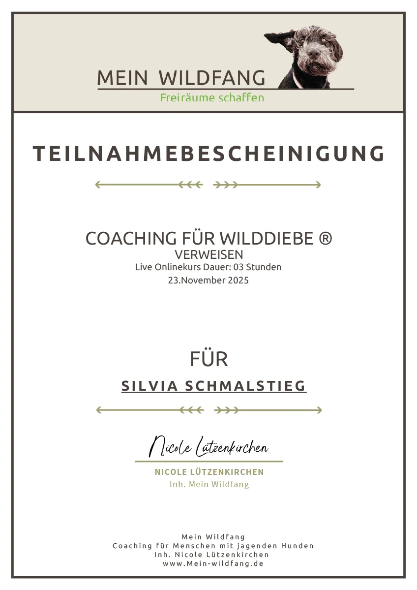 Teilnahmebescheinigung Coaching für Wirldiebe Nicole Lützenkrichen