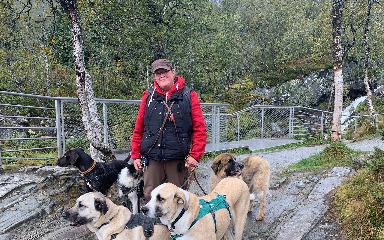 Aktives Wandern mit Hund und Dummyarbeit