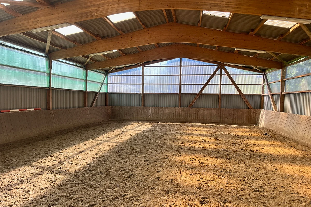 Hundeschule Halle im Trockenen trainieren