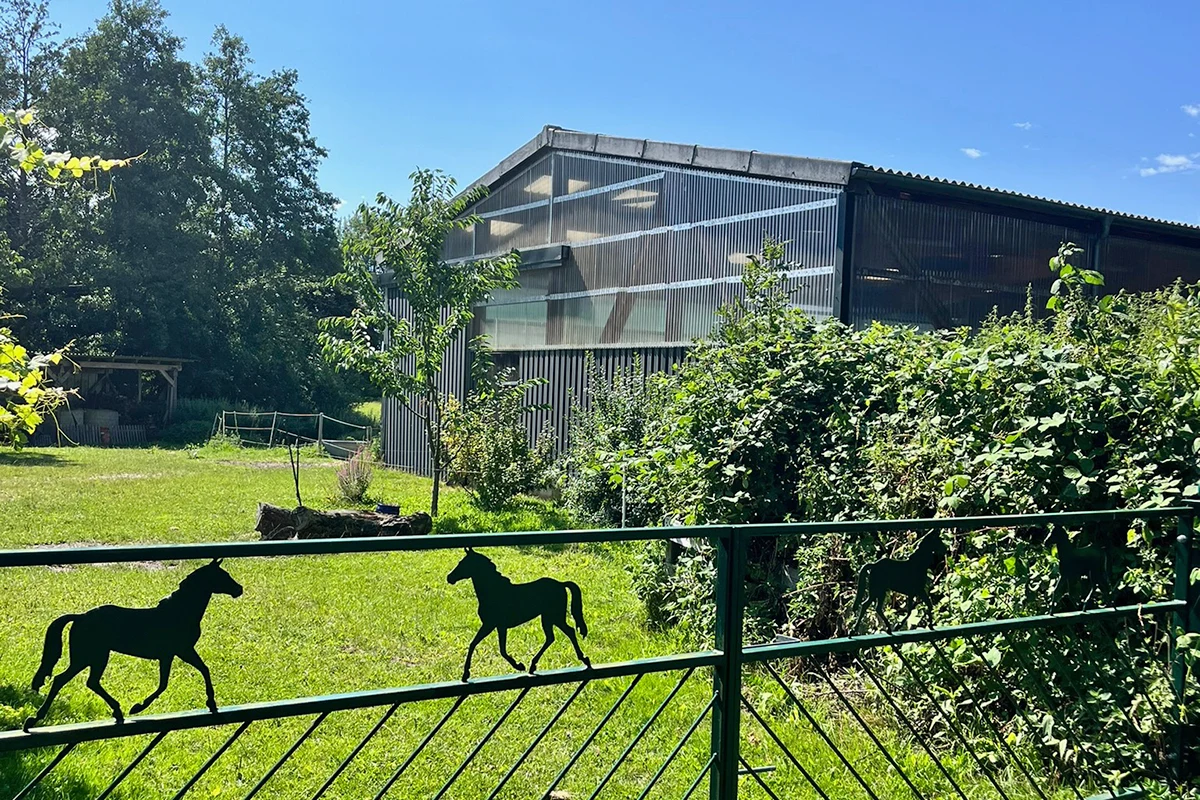 Heimatrevier Oersdorf Hundeschule Pension und Tierschutzhof