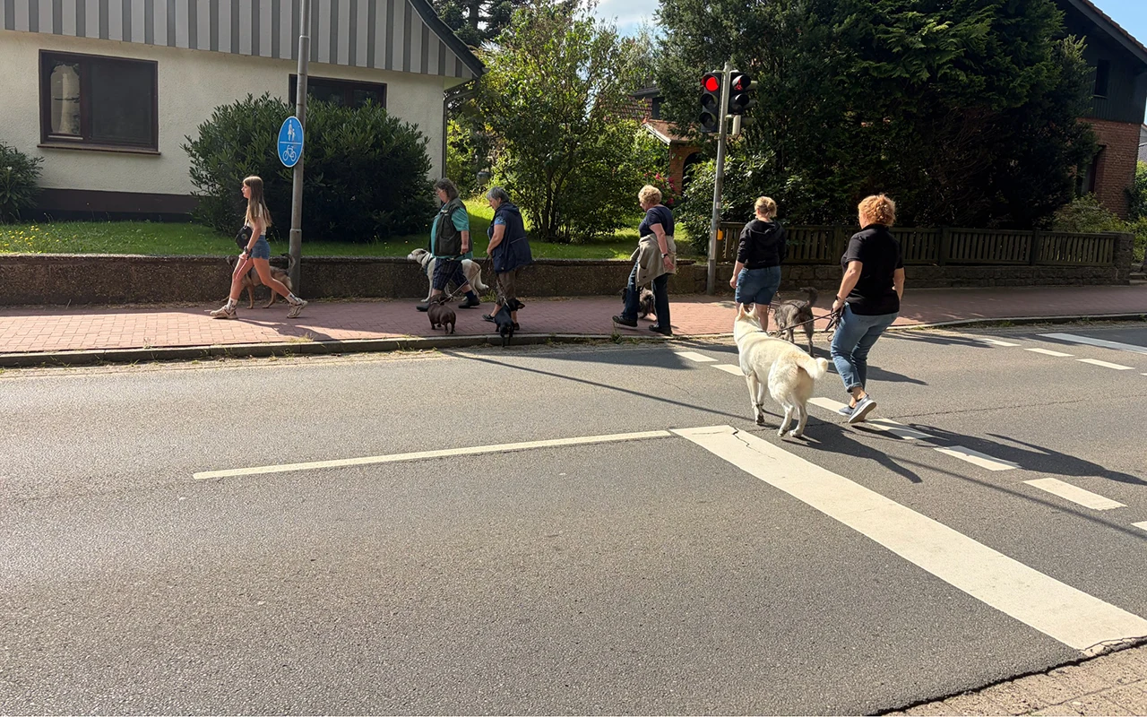 Hundeführerschein in Oersdorf für Mensch und Hund