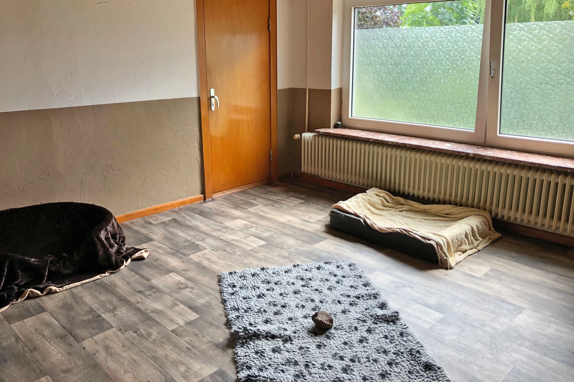 Hundepension Oersdorf