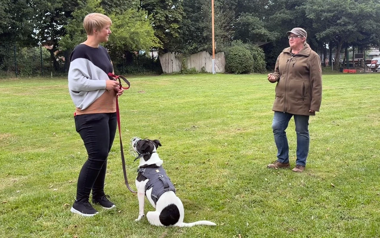 Einzeltrainung Hund im Heimatrevier Oersdorf - Silvia Schmastieg 