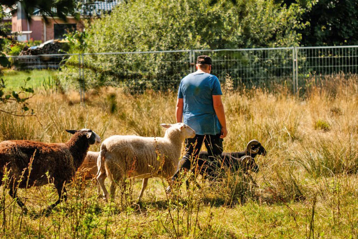Tierschutzhof Kleine Heimtierinsel Tierschutz vor Ort in Oersdorf