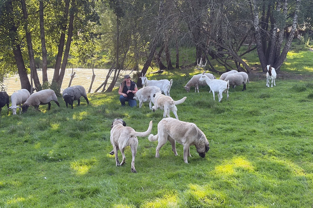 Tierschutzhof Kleine Heimtierinsel Tierschutz vor Ort in Oersdorf