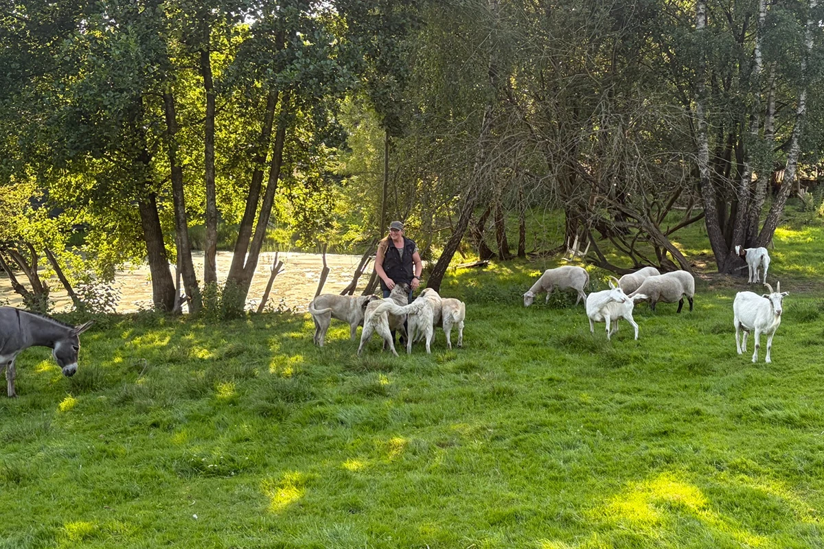 Tierschutzhof Kleine Heimtierinsel Tierschutz vor Ort in Oersdorf
