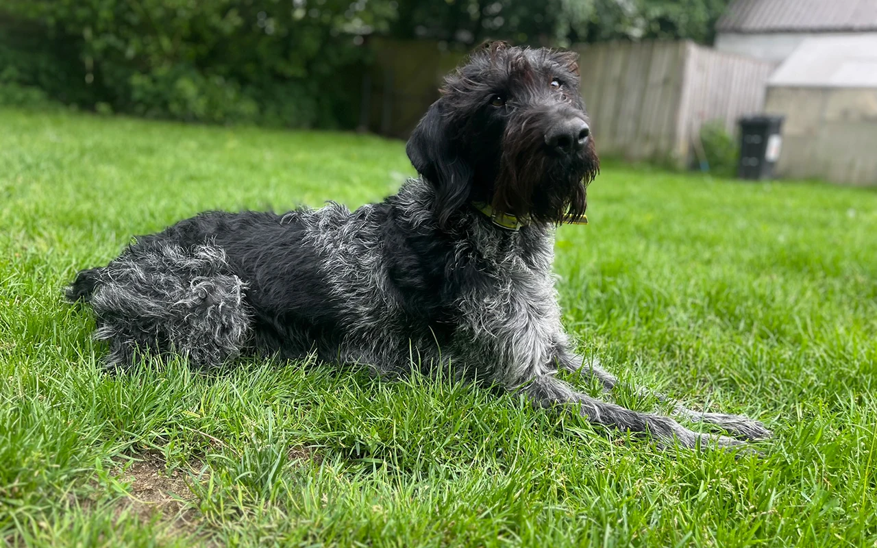 Günther