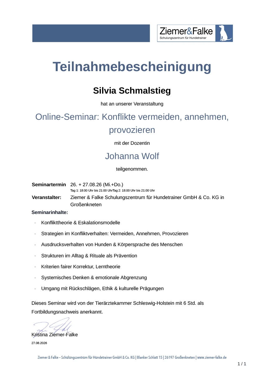 Teilnahmebescheinigung konflikte vermeiden annehmen provozieren Johanna Wolf